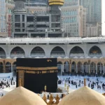 Yasir Feten Medine